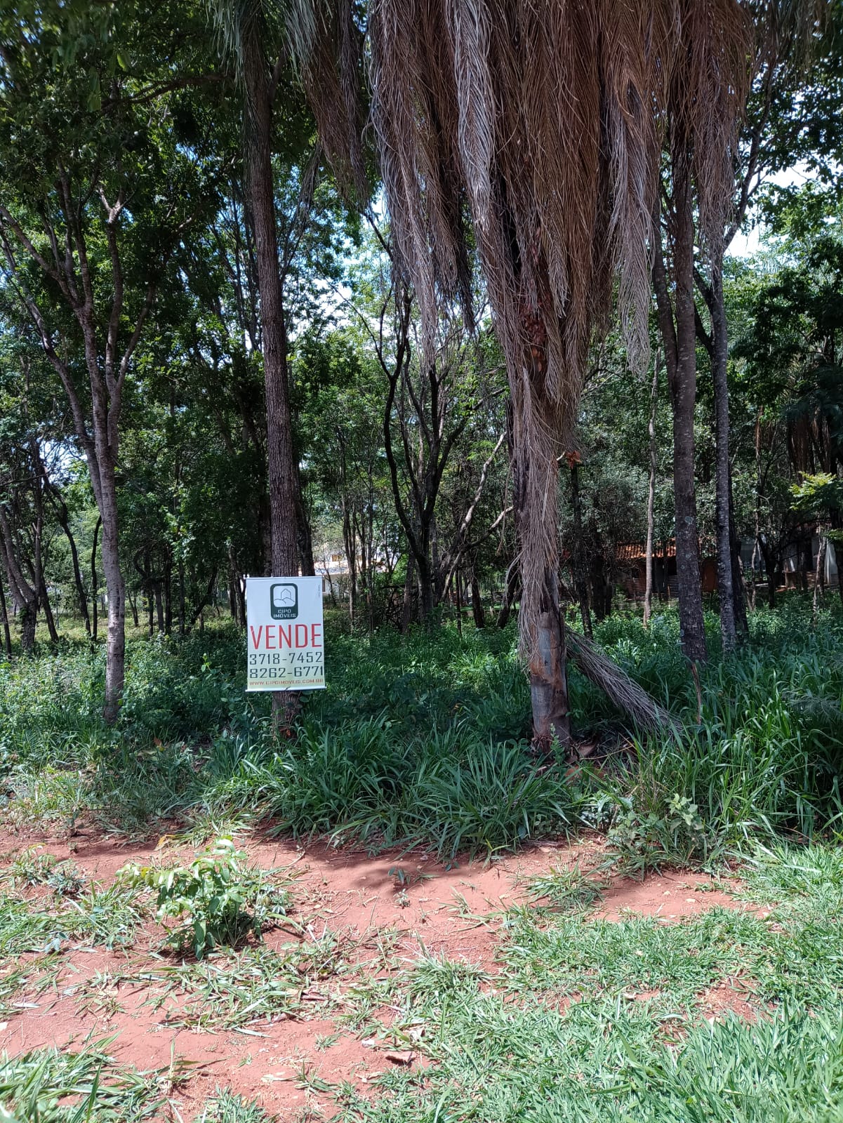 WhatsApp Image 2022-11-30 at 14.01.52.jpeg