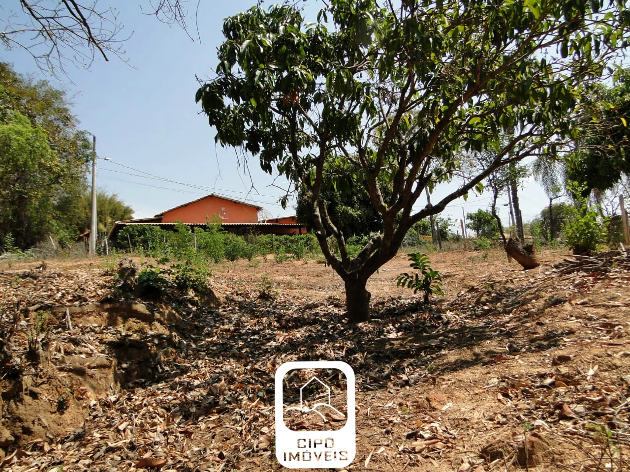 WhatsApp Image 2025-05-18 at 16.37.03.jpeg