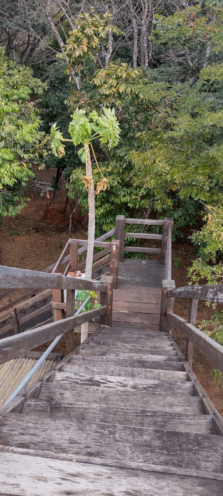 WhatsApp Image 2022-07-11 at 13.52.19 (5).jpeg