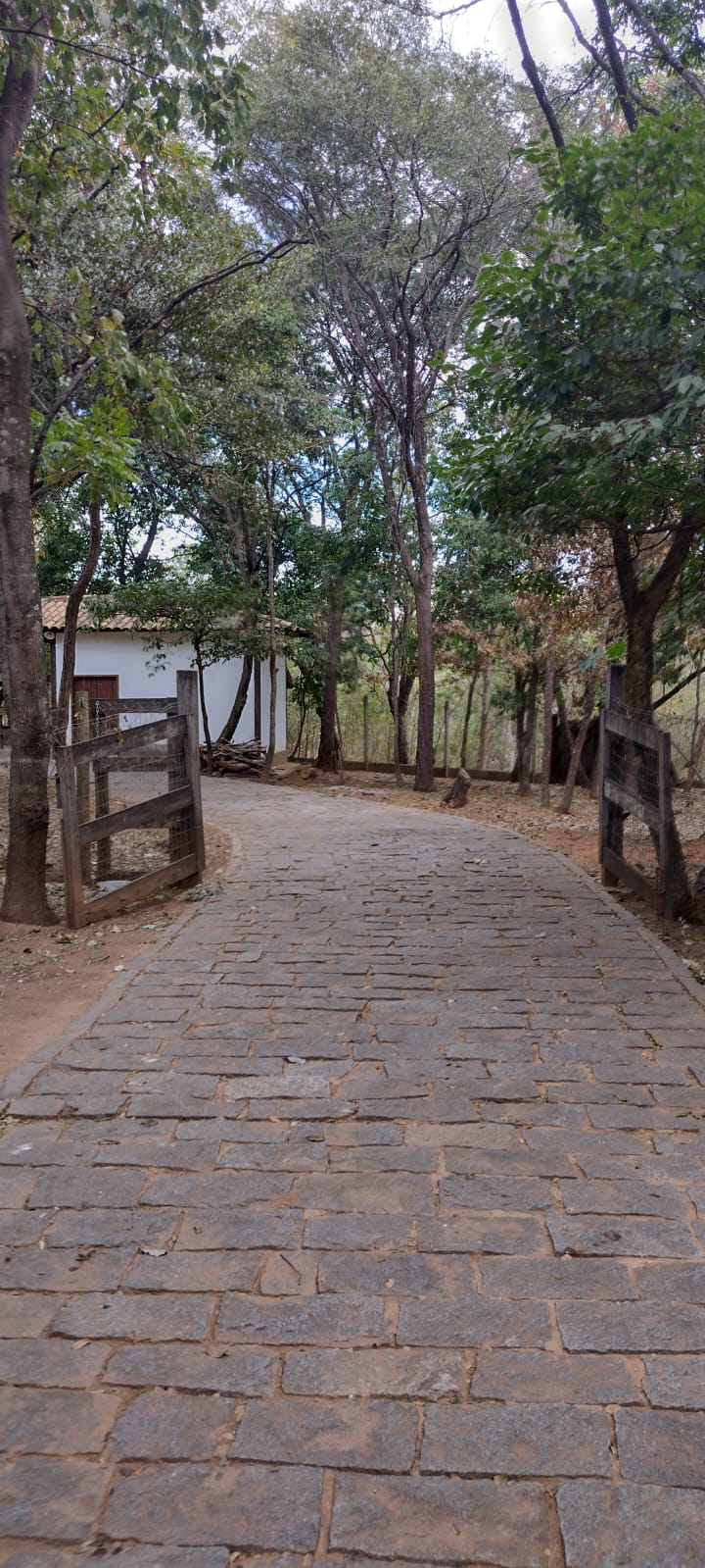 WhatsApp Image 2022-07-11 at 13.52.20 (5).jpeg