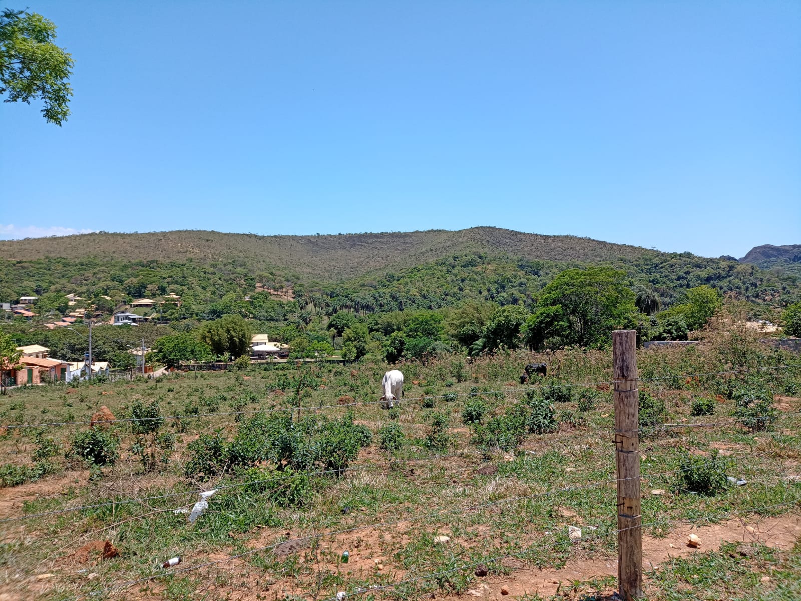 WhatsApp Image 2022-10-27 at 11.23.14.jpeg