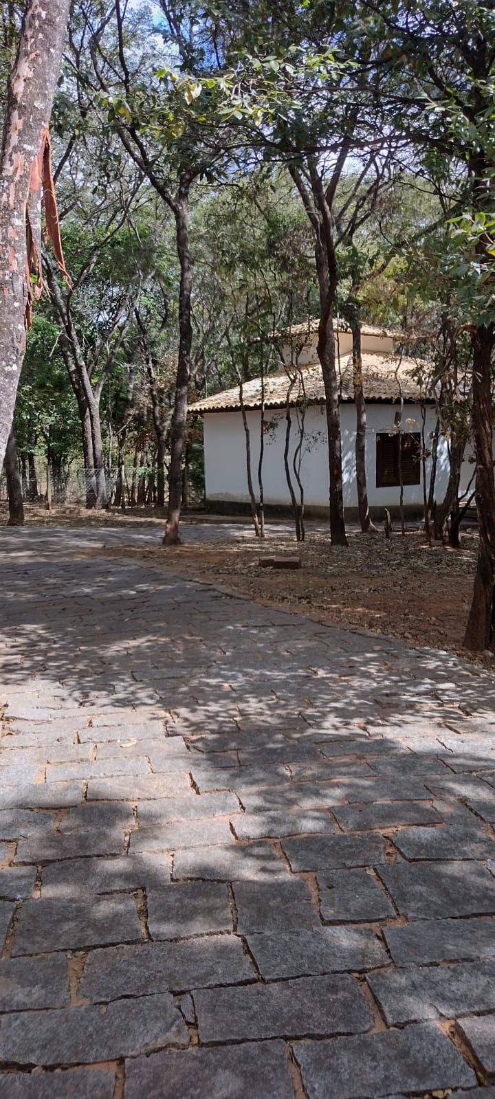 WhatsApp Image 2022-07-11 at 13.52.21 (1).jpeg