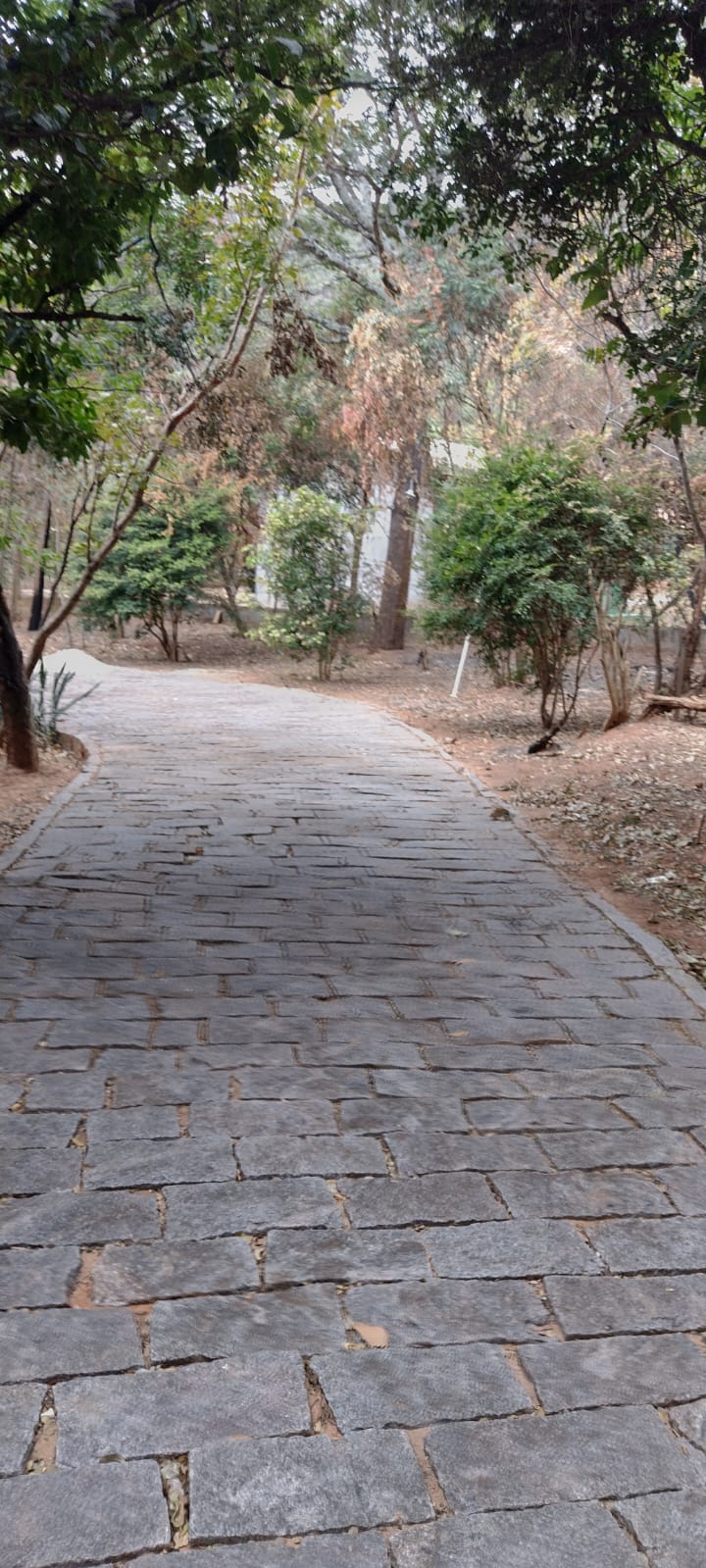 WhatsApp Image 2022-07-11 at 13.52.20 (3).jpeg