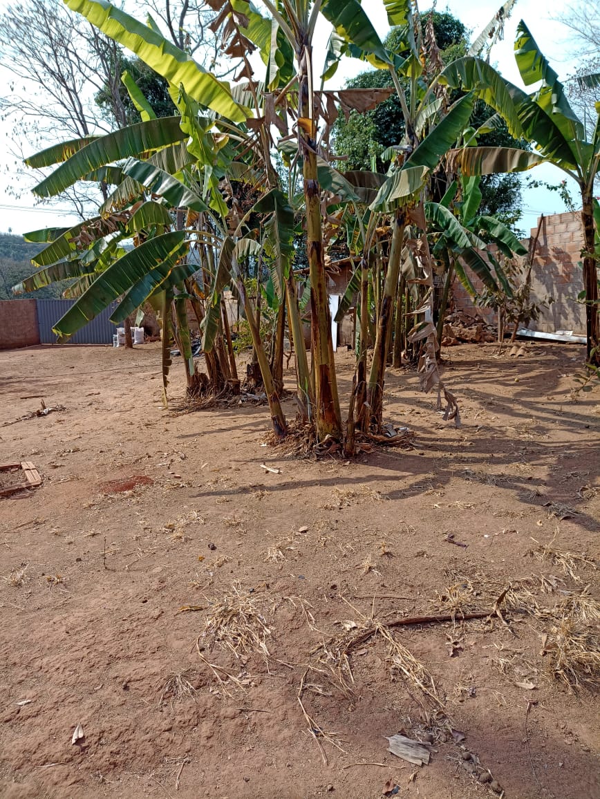 WhatsApp Image 2022-10-13 at 11.16.03 (1).jpeg