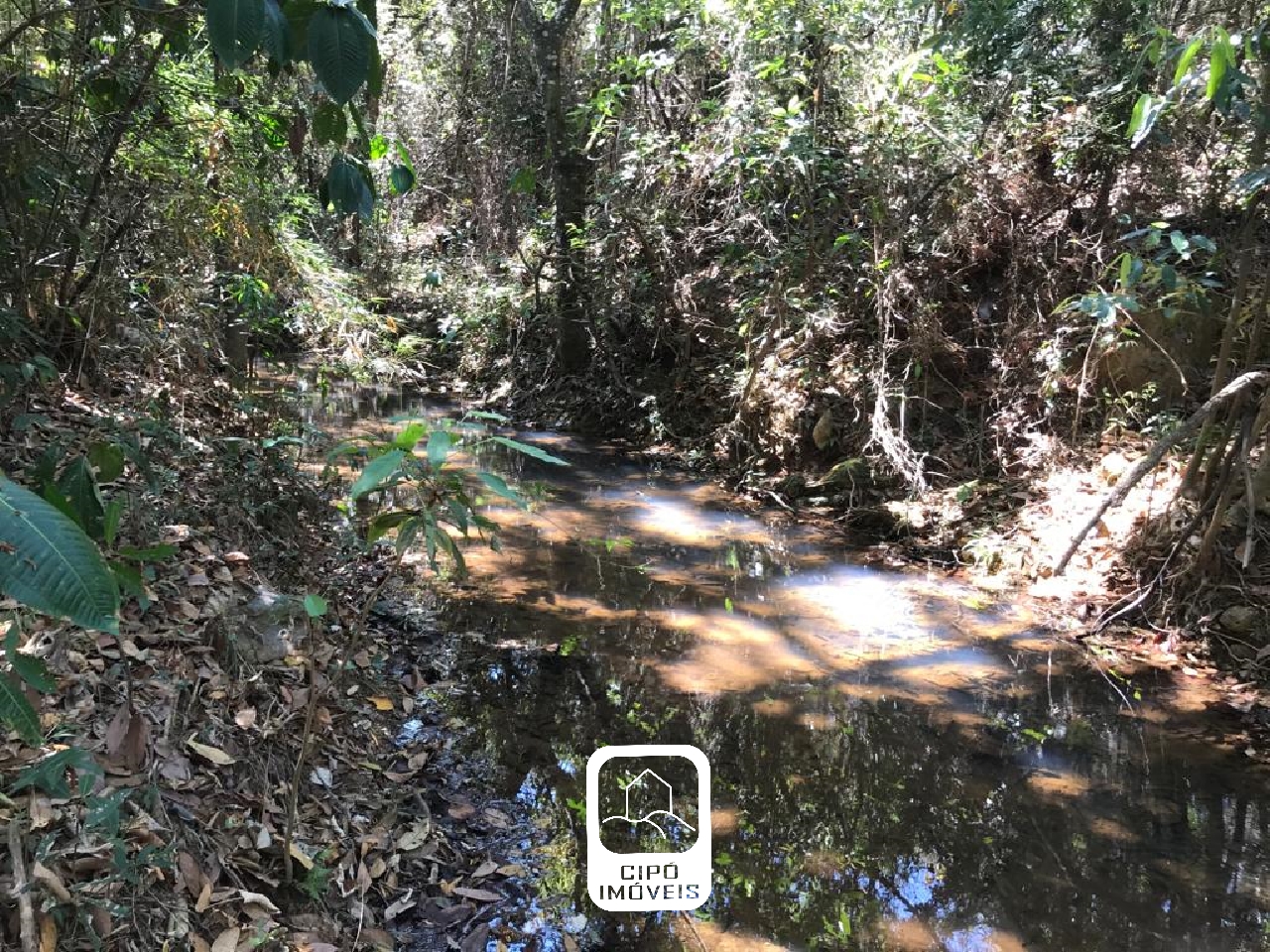 WhatsApp Image 2023-05-11 at 13.21.13.jpeg