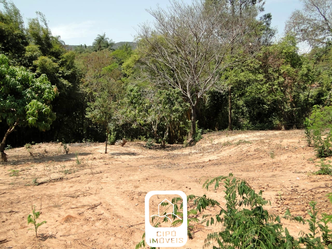 WhatsApp Image 2025-05-18 at 16.37.01 (1).jpeg