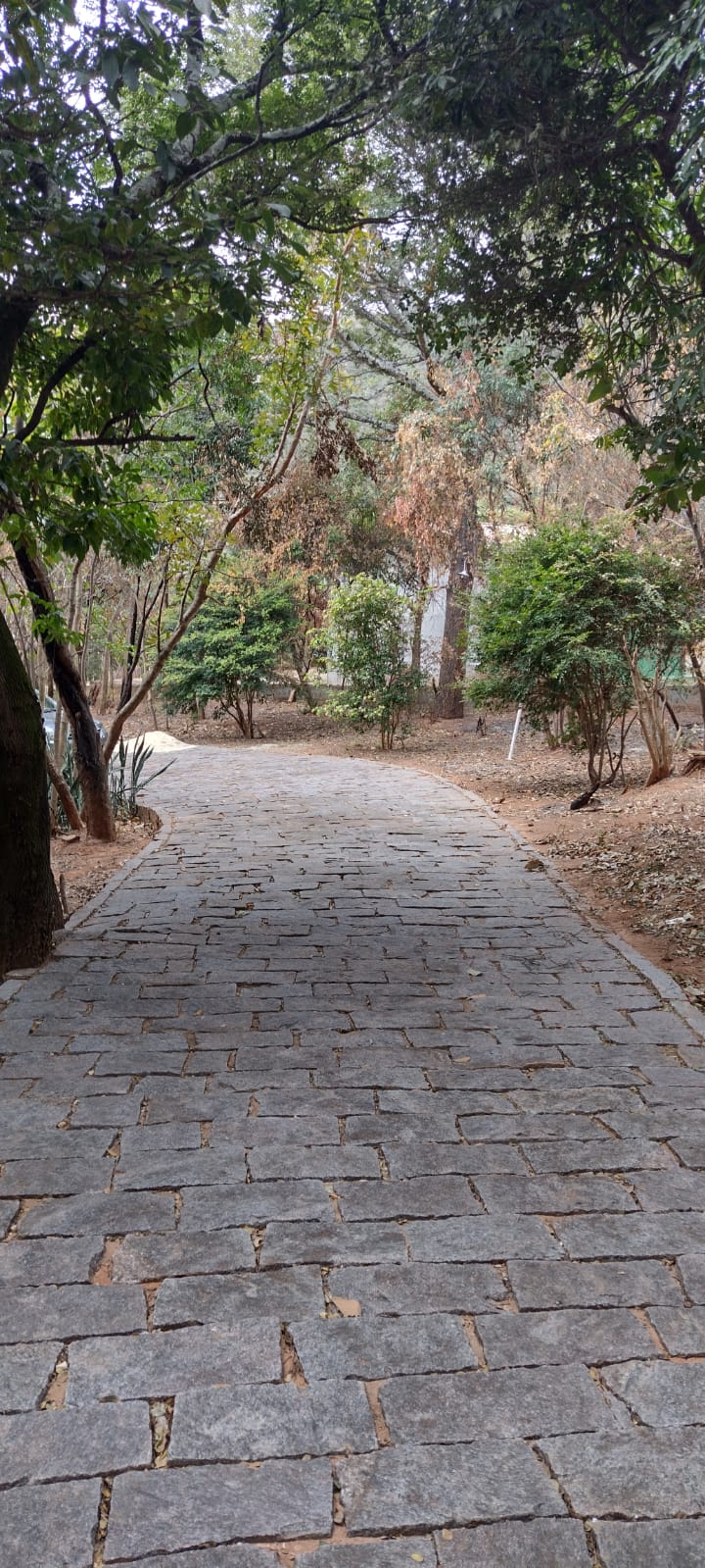 WhatsApp Image 2022-07-11 at 13.52.20 (4).jpeg