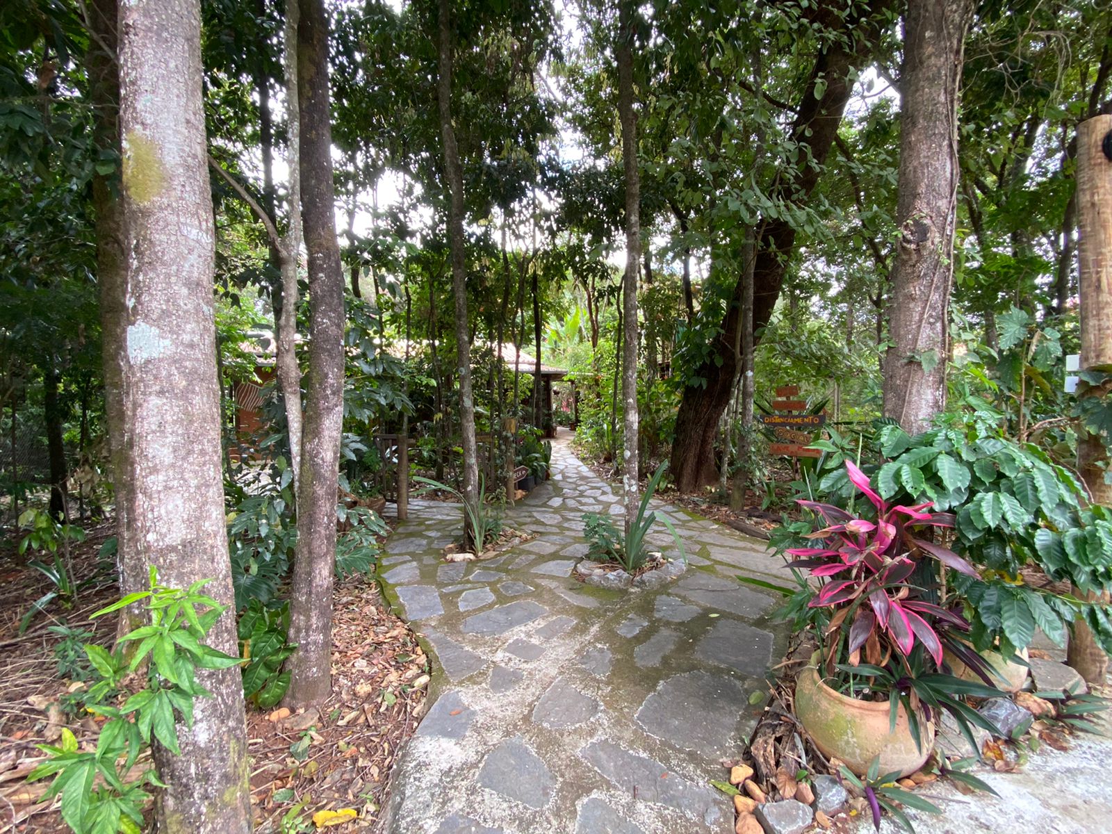 WhatsApp Image 2022-08-10 at 12.30.57 (1).jpeg