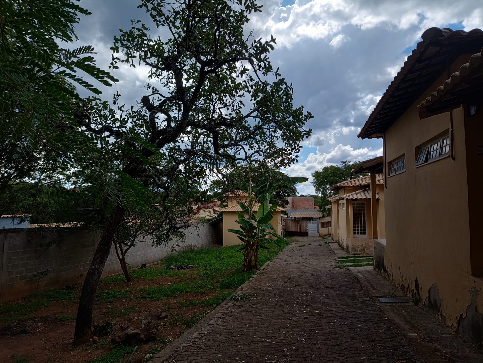 WhatsApp Image 2022-10-26 at 14.52.12.jpeg