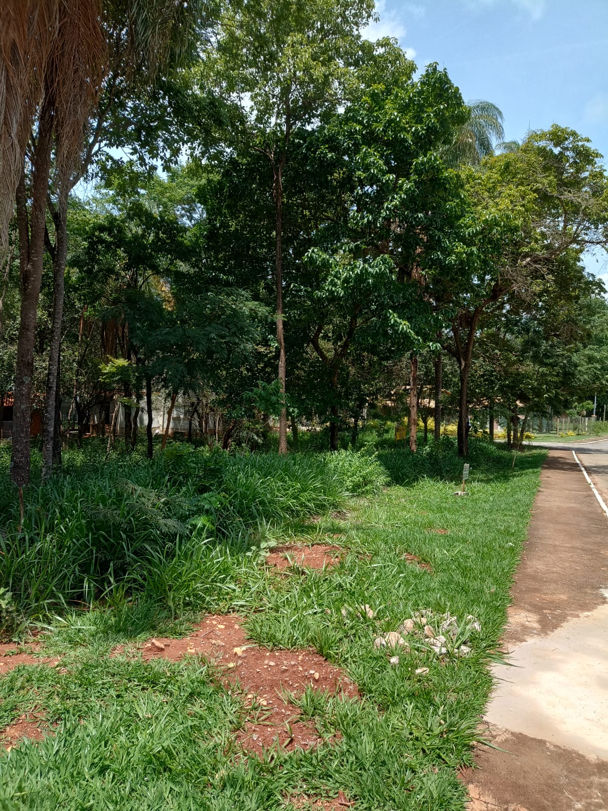 WhatsApp Image 2022-11-30 at 14.01.57 (1).jpeg