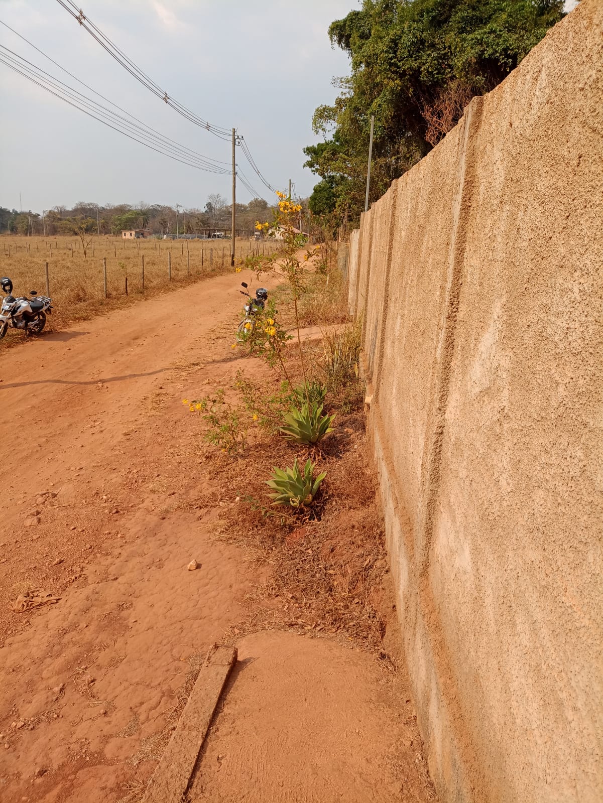 WhatsApp Image 2022-10-13 at 11.15.35.jpeg