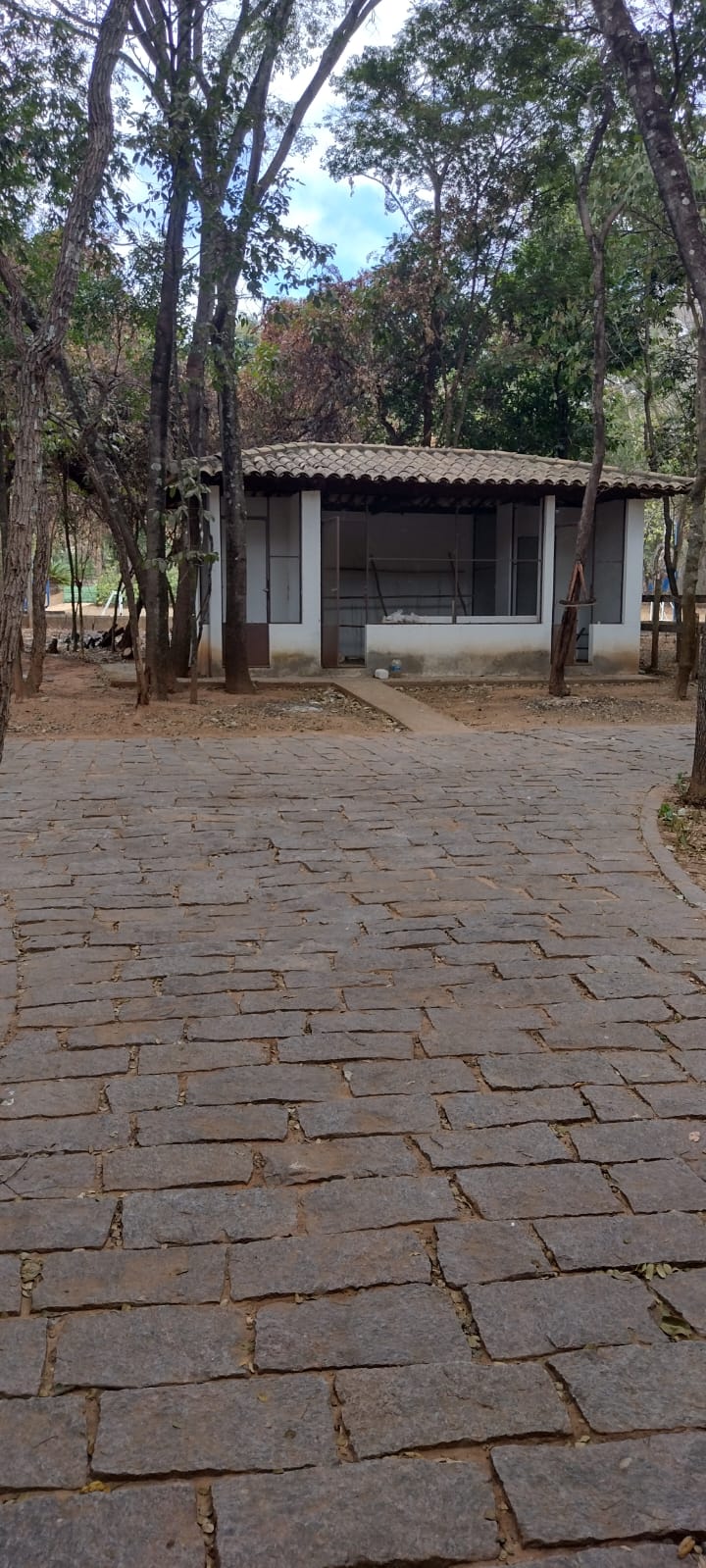 WhatsApp Image 2022-07-11 at 13.52.20 (6).jpeg