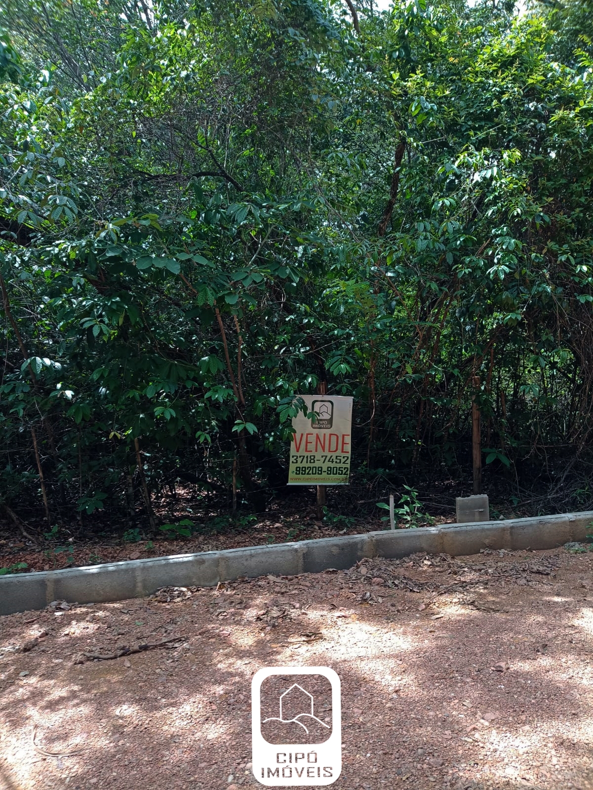 WhatsApp Image 2022-11-30 at 14.01.17.jpg