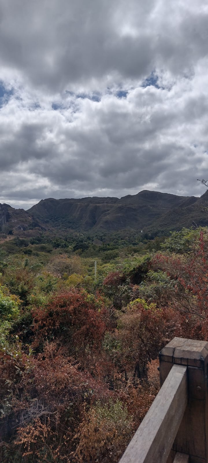 WhatsApp Image 2022-07-11 at 13.52.19 (3).jpeg