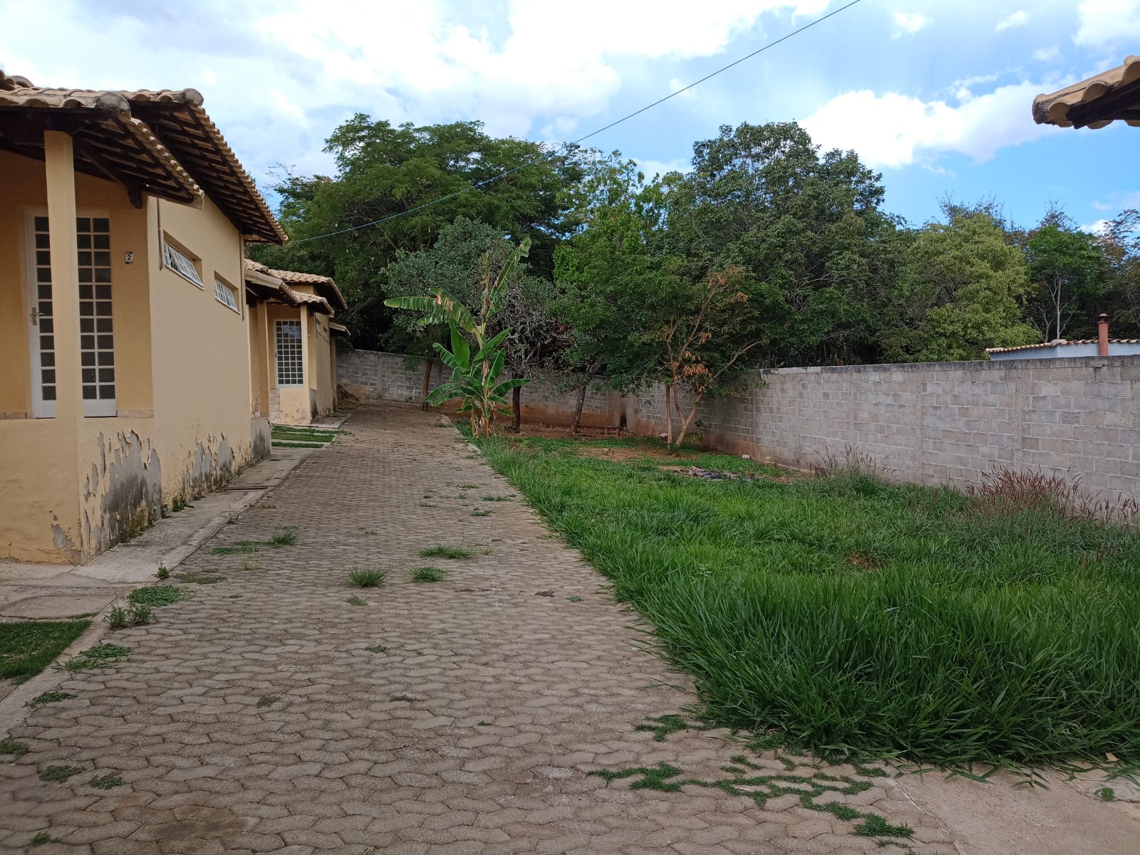 WhatsApp Image 2022-10-26 at 14.52.08.jpeg