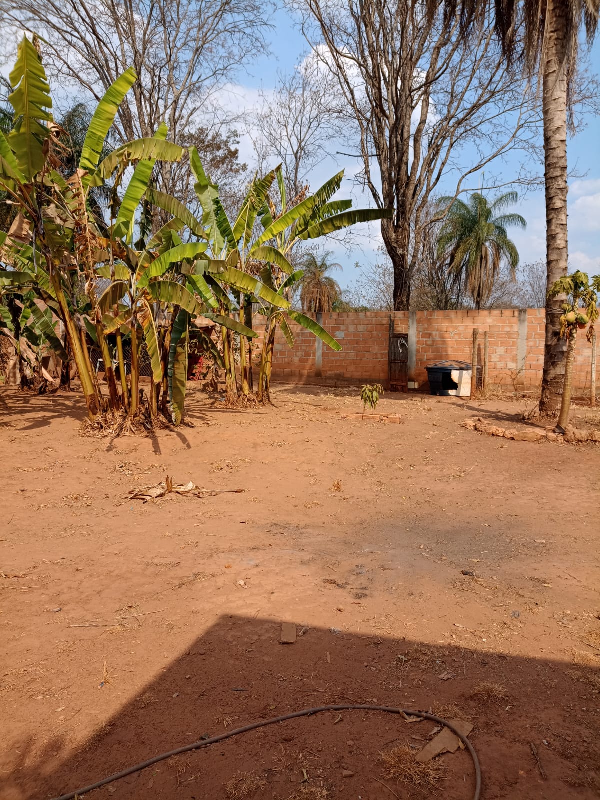 WhatsApp Image 2022-10-13 at 11.16.07.jpeg