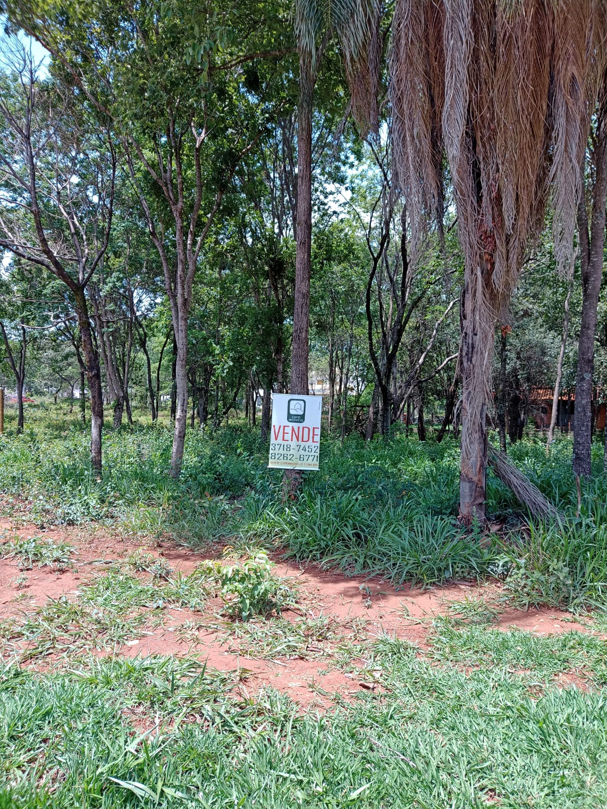 WhatsApp Image 2022-11-30 at 14.01.59.jpeg